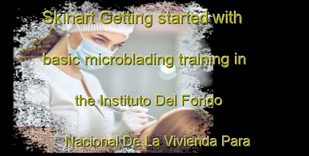 Skinart Getting started with basic microblading training in the Instituto Del Fondo Nacional De La Vivienda Para Los Trabajadores Santa Maria El Agora area | MicrobladingTraining | MicrobladingClasses | SkinartTraining-Mexico